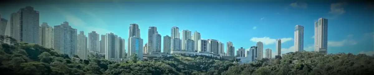 Apartamento à venda vila da serra 2
