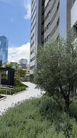 DENVER — imagem 15
