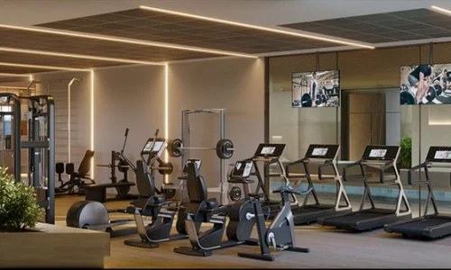 Academia High Gardens