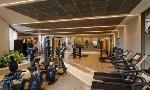 Area Lazer Fitness High Gardens