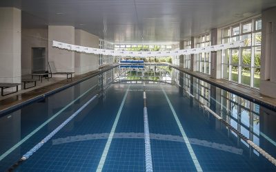 WhatsApp-Image-2026-02-05-at-15.57.43-14